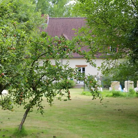 Pensionat D'hotes Edoniaa Quend